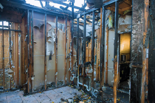 Professional Fire Damage Repair technician working in Oldsmar, FL