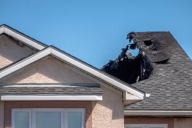 Top rated local Fire Damage Repair specialists in Oldsmar, FL